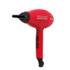 Secadora ViaVeneto Red Ion CH 110