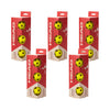 Caja 5 Botes de 3 Pelotas Head Pickle Ball 3b Championship